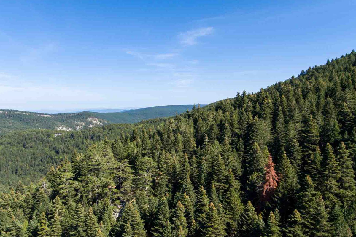 Kaz Dağları’nda Doğa Yürüyüşleri